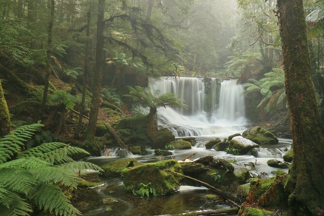 Full-Day Waterfalls, Wilderness & Wildlife Hobart Tour - Pricing Information and Booking