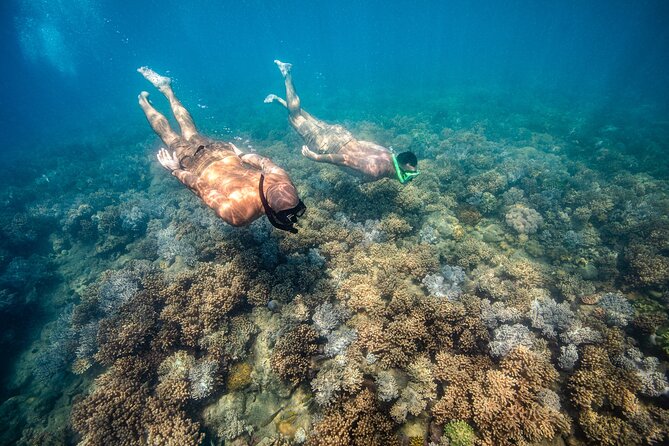 Full-Day Whitsunday Sail and Snorkel Adventure With Lunch - Customer Reviews