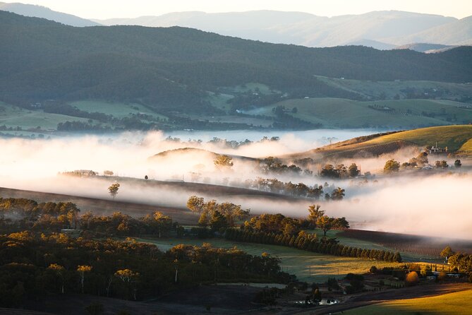 Full Day Yarra Valley Experience in Australia - Departure Details