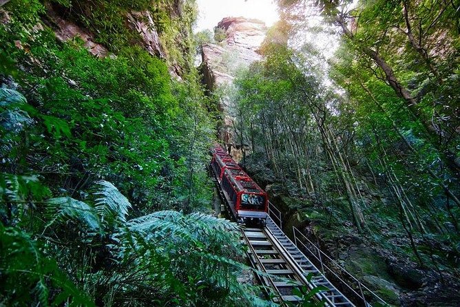 Fully Inclusive Blue Mountains Private Tour Inc Scenic World & Featherdale Entry - Customer Reviews