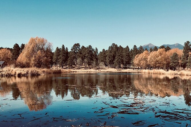 Fun Flagstaff History Segway Tour - Traveler Feedback and Reviews