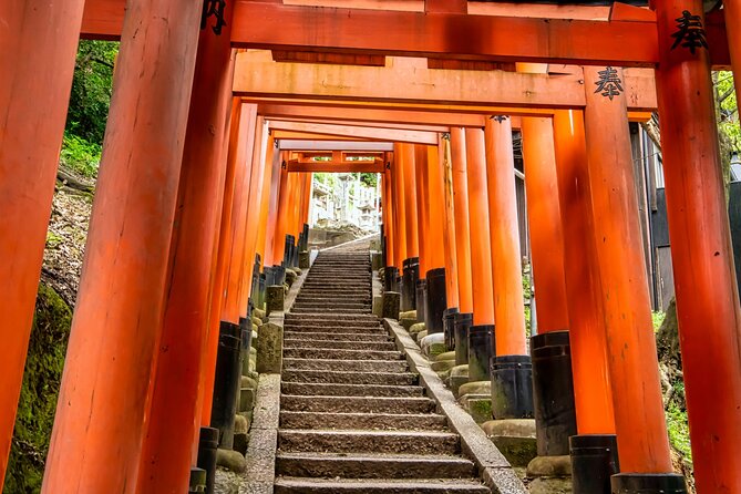 Fushimi Inari Mountain Hiking Tour With a Local Guide - Cultural Insights and Landmarks