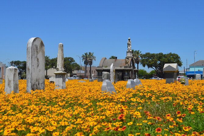 Galvestons Haunted Cemetery Walking Tour - Reviews and Pricing
