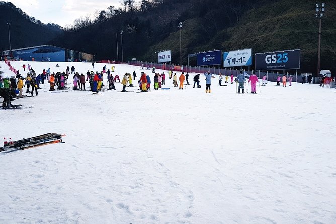 Gangchon Elysian Ski Day Trip From Seoul - Reviews and Traveler Feedback