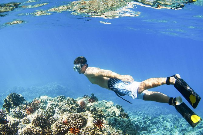 Gates of Heaven at Lempuyang Temple With Blue Lagoon Snorkeling - Contact and Additional Details