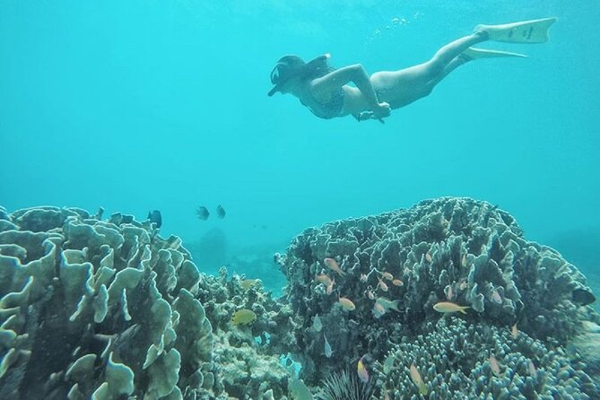 Gili Island Snorkeling Half Day Trip Departure From Gili Trawangan - Inclusions and Requirements