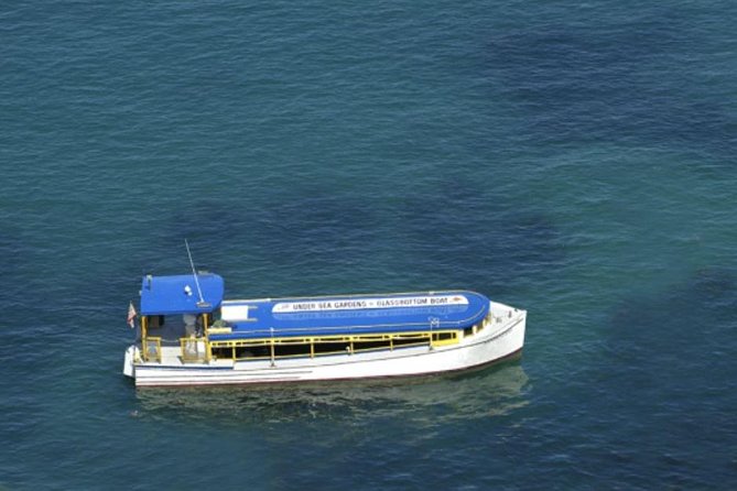 Glass Bottom Boat: Catalina Island Tour - Operational Challenges and Recommendations