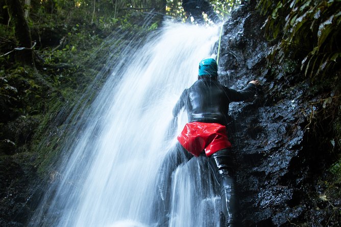 Glowworm Canyoning Adventure - Private Tour From Auckland - Booking Process