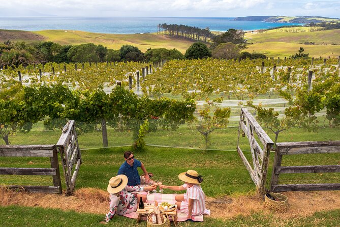 Gourmet Mystery Picnic Experience in Matakana - Additional Information