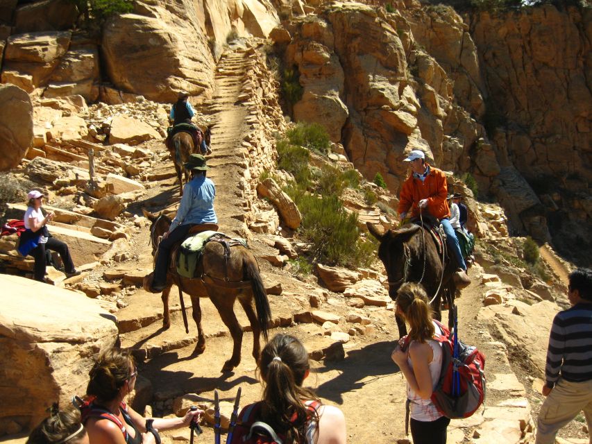 Grand Canyon Full-Day Hike From Sedona or Flagstaff - Highlights of the Tour