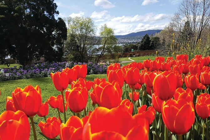 Grand Hobart With Richmond Village Tour - Cancellation Policy