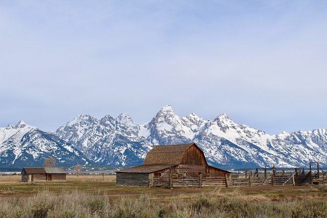 Grand Teton Half Day Tour - Safety Measures