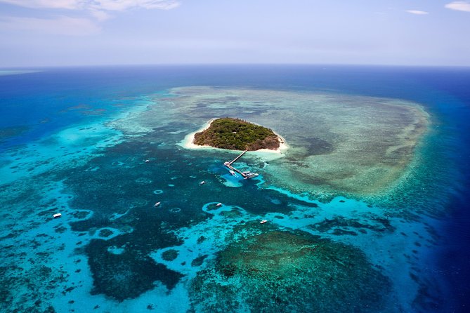Great Barrier Reef 40 Minute Scenic Flight From Cairns - Reef Hopper - Traveler Ratings and Reviews