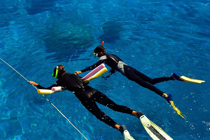 Great Barrier Reef Cruise From Townsville or Magnetic Island - Onboard Experience and Amenities