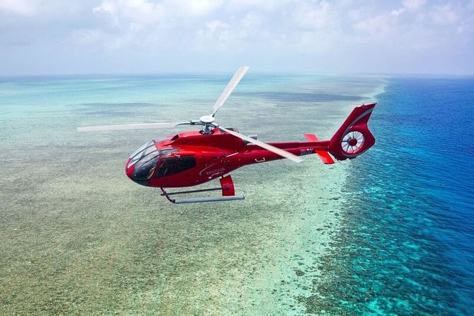 Great Barrier Reef Full-Day Cruise, Scuba Diving & Helicopter  - Cairns & the Tropical North - Customer Service and Reviews