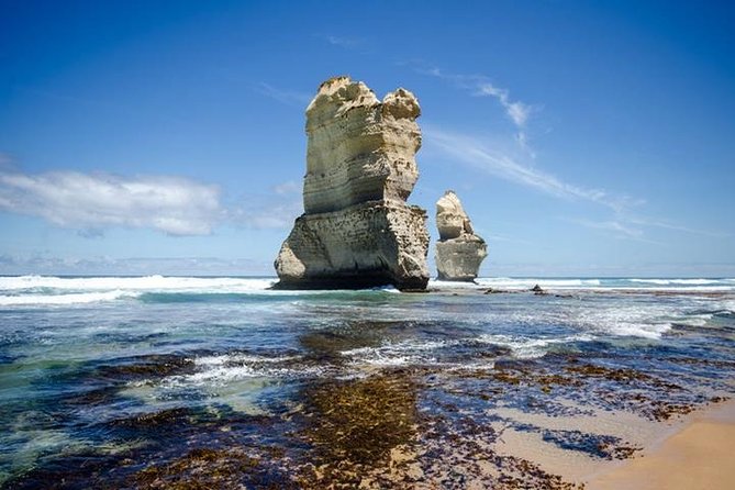 Great Ocean Road and Otway National Park Sightseeing Day Tour - Pricing and Booking Details