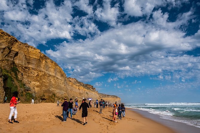Great Ocean Road Small-Group Ecotour From Melbourne - Traveler Reviews