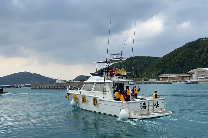 Great Whale Watching at Kerama Islands and Zamami Island - Whale Watching Tour Options