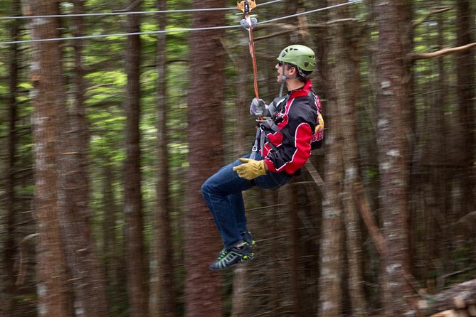 Grizzly Falls Ziplining Expedition - Cancellation Policy
