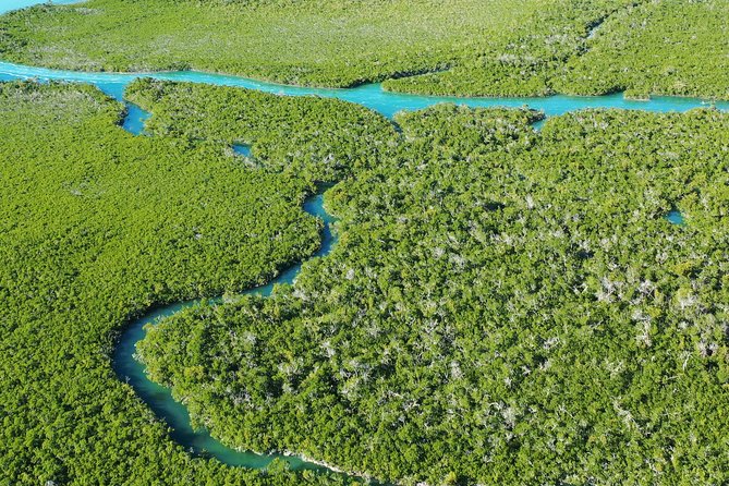 Guided Clear Kayak Eco-Tour Near Key West - Eco-Tour Benefits