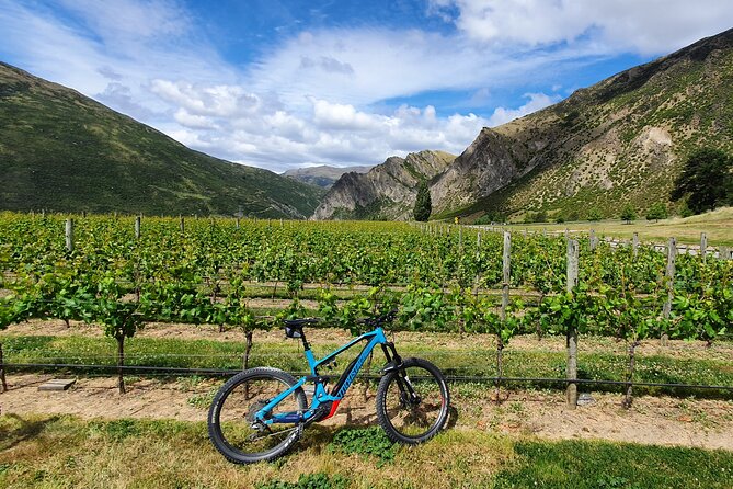 Guided Ebike Wine Tour Ride to the Vines - Wine Tasting Experience