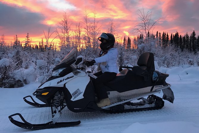 Guided Fairbanks Snowmobile Tour - Sum Up