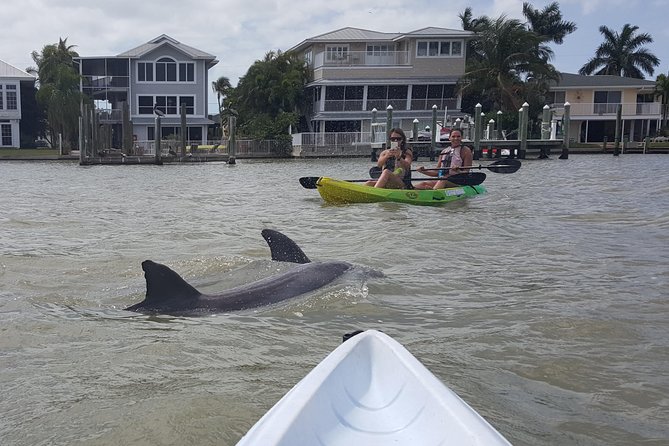 Guided Kayak Eco Tour - Bunche Beach - Pricing and Value