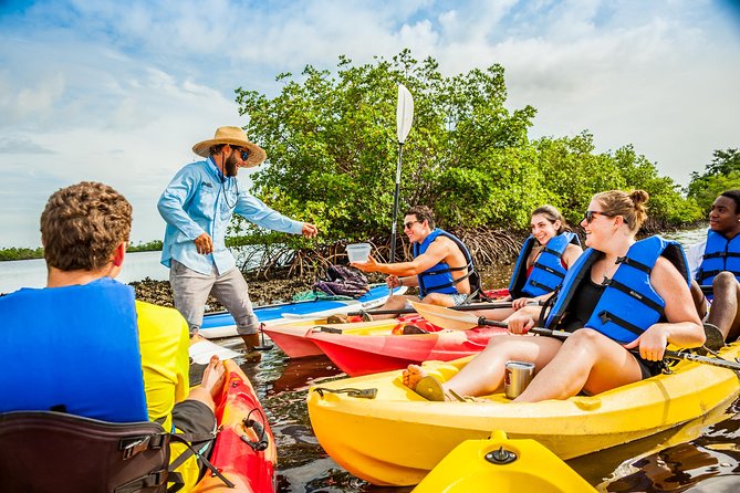 Guided Kayak Mangrove Ecotour in Rookery Bay Reserve, Naples - Cancellation Policy