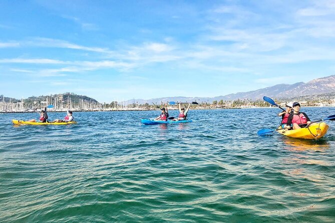 Guided Kayak Wildlife Tour in the Santa Barbara Harbor - Scenic Views
