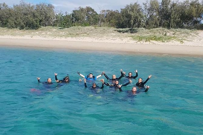 Guided Snorkel With Fish Tour at Wavebreak Island, Gold Coast - Booking Requirements and Options