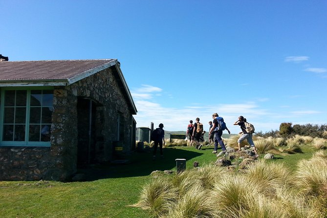 Guided Walk & Scenic Drive From Christchurch- Port Hills & Packhorse Hut - Packhorse Hut Trek