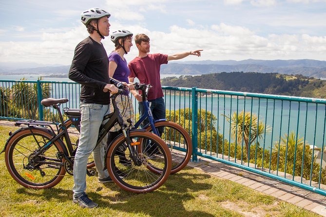 Guided Wellington Sightseeing Tour by Electric Bike - Inclusions