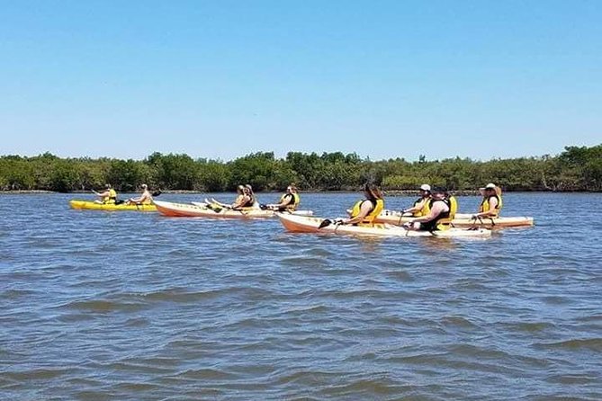 Guided Wildlife Eco Kayak Tour in New Smyrna Beach - Additional Info