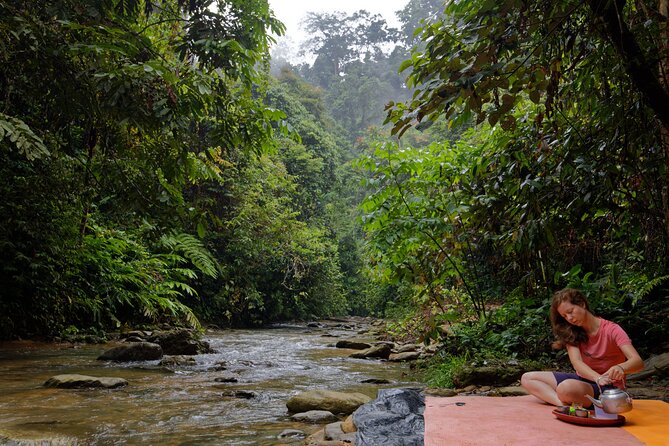Gunung Leuser National Park Overnight Jungle Trekking  - Medan - Traveler Photos and Experiences