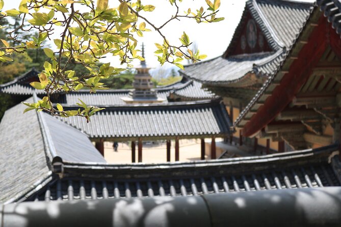Gyeongju Temple Stay and 2 Days Private Tour Learning Monks Martial Arts - Accommodation Details