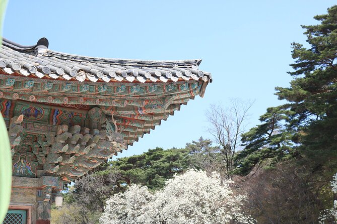 Gyeongju the UNESCO Sites Tour for Small Group - Expert Tour Guides