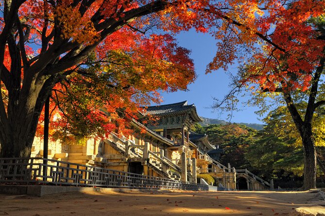 Gyeongju UNESCO Sites Private Tour With Licensed Tour Guide - UNESCO Site Visit Highlights