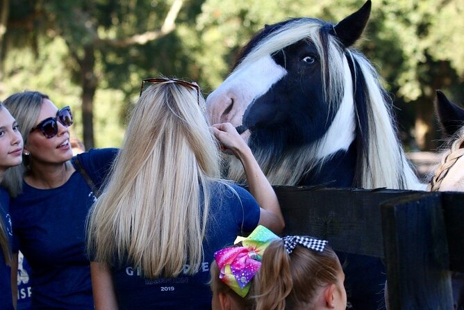 Gypsy Gold Horse Farm Tour - Logistics and Additional Information