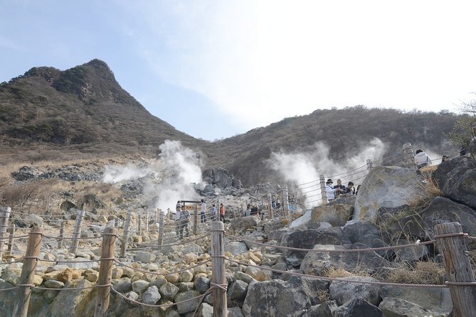 Hakone 8 Hour Private Tour With Government-Licensed Guide - Meeting and Pickup