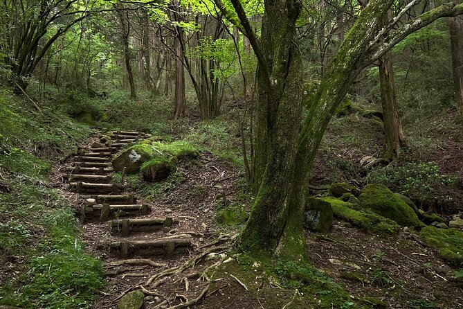 Hakone Old Tokaido Road and Volcano Full-Day Hiking Tour - Additional Information and FAQs