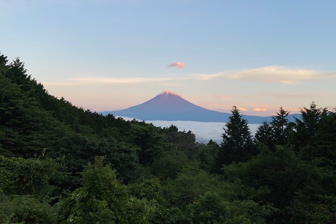 Hakone Old Tokaido Road and Volcano Half-Day Hiking Tour - Safety Measures and Recommendations