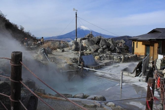 Hakone Onsen Experience, Lake Ashi, Open-Air Museum Tour - Pricing Details