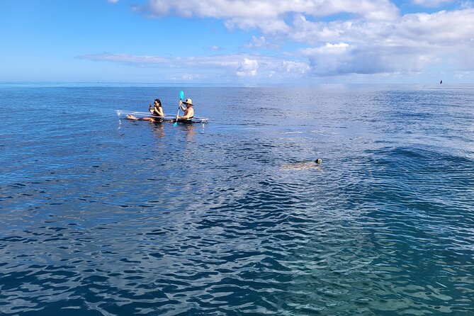 Haleiwa Small-Group Kayak and Snorkel Tour  - Oahu - Tour Experience