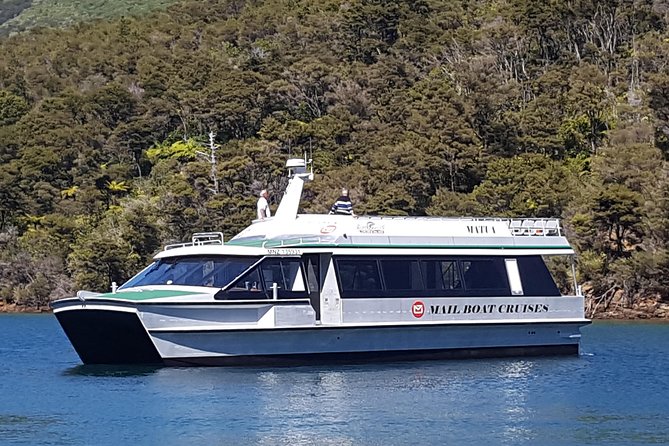Half-Day Cruise in Marlborough Sounds From Picton - Logistics and Timing