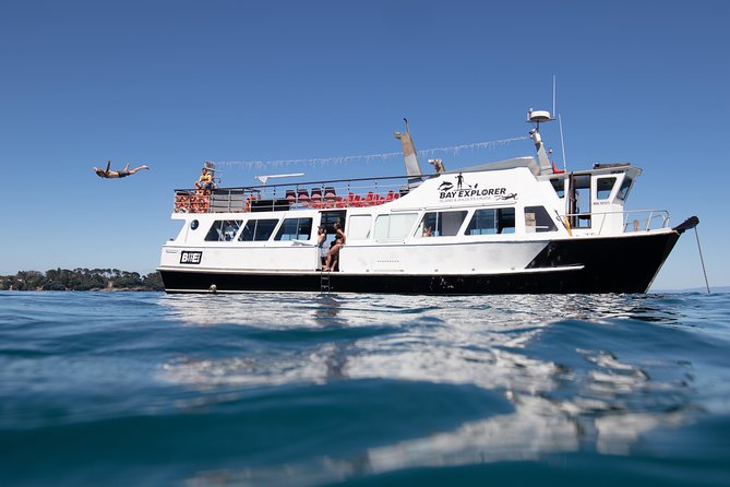 Half Day Dolphin Watching Cruise (Departing From Rotorua) - Departure Logistics