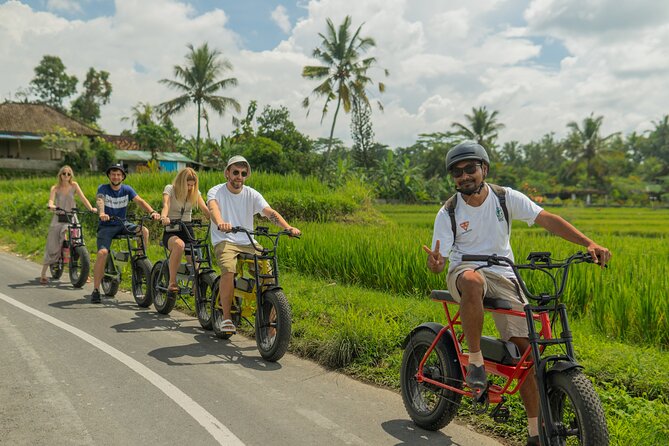 Half-Day Electric Fat Bike Tour of Ubud - Reviews and Feedback