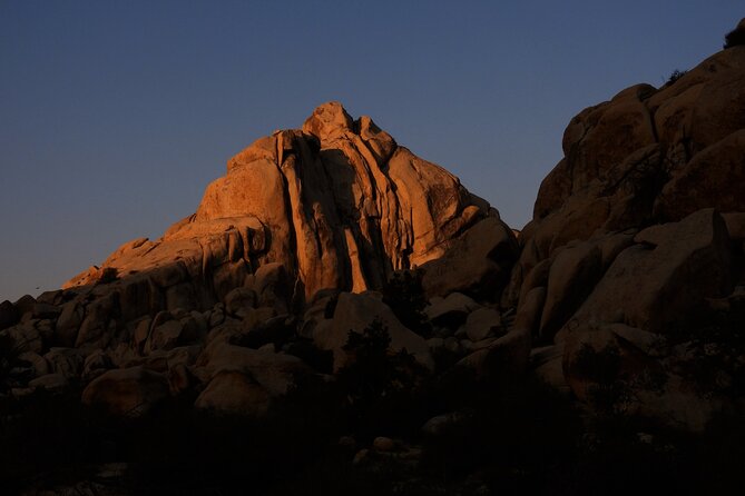 Half-Day Guided Hike in Joshua Tree National Park - Scheduling Logistics