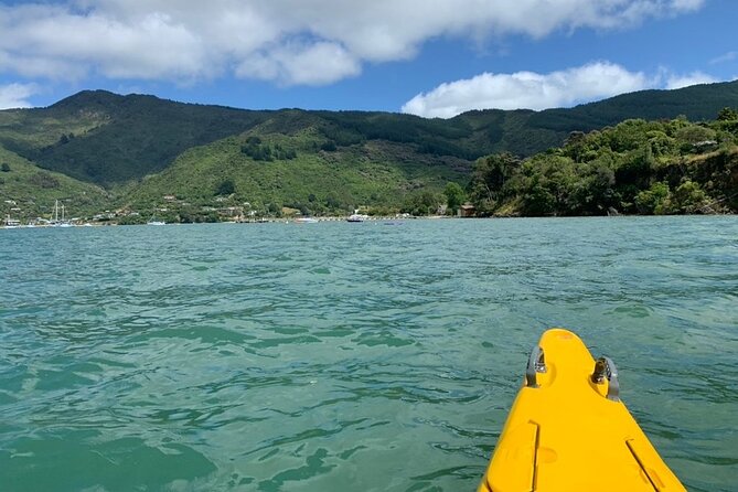 Half-Day Guided Sea Kayaking Tour From Anakiwa - Expectations and Requirements