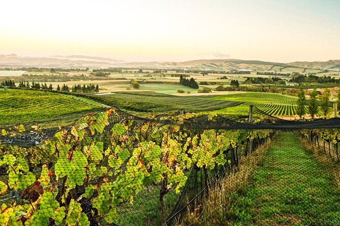 Half-Day Helicopter Vineyard Trip  - Christchurch - Route and Scenery