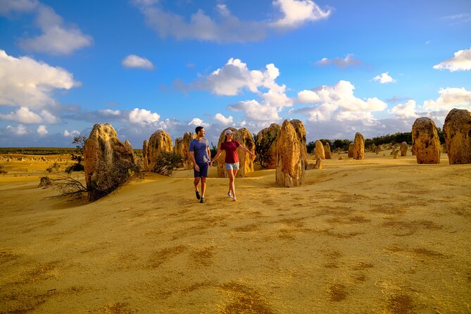 Half Day Pinnacles Sunset Tour - Pricing and Terms
